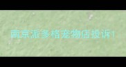 南京派多格宠物店投诉