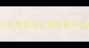 公拉布拉多正常体重多少