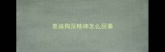 泰迪狗没精神怎么回事