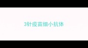 3针疫苗细小抗体