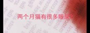 两个月猫有很多眼屎
