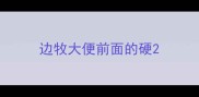 边牧大便前面的硬