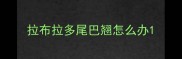 拉布拉多尾巴翘怎么办