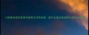 10种最美观的宠物鸟推荐及饲养指南新手必看品种选择与养护全攻略