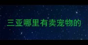 三亚哪里有卖宠物的