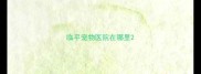 临平宠物医院在哪里