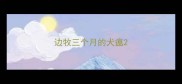 边牧三个月的犬瘟