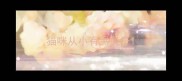 猫咪从小有黑鼻子
