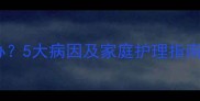 狗狗吐白色粘液怎么办5大病因及家庭护理指南附专业兽医建议