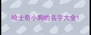 哈士奇小狗的名字大全