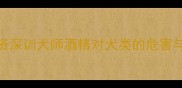 泰迪犬能不能喝酒资深训犬师酒精对犬类的危害与科学应对指南