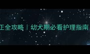 拉布拉多耳朵后移矫正全攻略幼犬期必看护理指南附家庭矫正图解