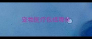 宠物医疗包括哪些