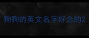 狗狗的英文名字好念的