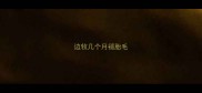 边牧几个月褪胎毛