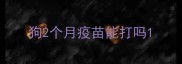 狗2个月疫苗能打吗