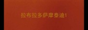 拉布拉多萨摩泰迪