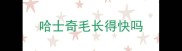 哈士奇毛长得快吗