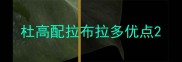 杜高配拉布拉多优点