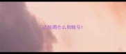 边牧喂什么狗粮号
