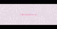 小猫打疫苗是为什么