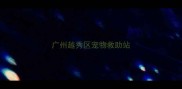 广州越秀区宠物救助站