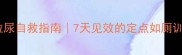 幼犬乱拉尿自救指南7天见效的定点如厕训练全攻略