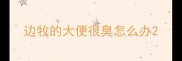 边牧的大便很臭怎么办