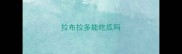 拉布拉多能吃瓜吗