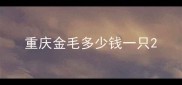 重庆金毛多少钱一只