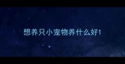 想养只小宠物养什么好