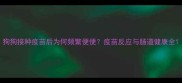 狗狗接种疫苗后为何频繁便便疫苗反应与肠道健康全