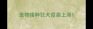 宠物接种狂犬疫苗上海