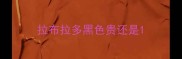 拉布拉多黑色贵还是