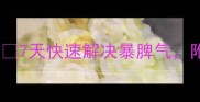 哈士奇突然见人凶7天快速解决暴脾气附专业训犬师亲授方法