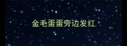 金毛蛋蛋旁边发红