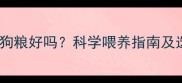 拉布拉多吃狗粮好吗科学喂养指南及选购全攻略