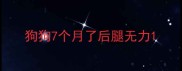 狗狗7个月了后腿无力