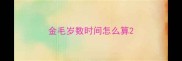 金毛岁数时间怎么算
