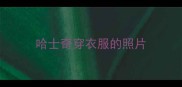 哈士奇穿衣服的照片