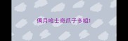 俩月哈士奇爪子多粗