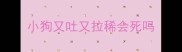 小狗又吐又拉稀会死吗