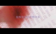拉布拉多幼犬赘肉多