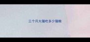 三个月大猫吃多少猫粮