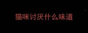 猫咪讨厌什么味道