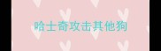 哈士奇攻击其他狗