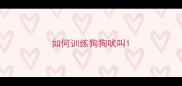 如何训练狗狗吠叫