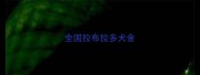 全国拉布拉多犬舍