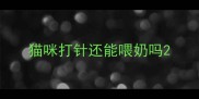 猫咪打针还能喂奶吗