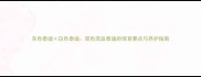 灰色泰迪白色泰迪双色混血泰迪的培育要点与养护指南